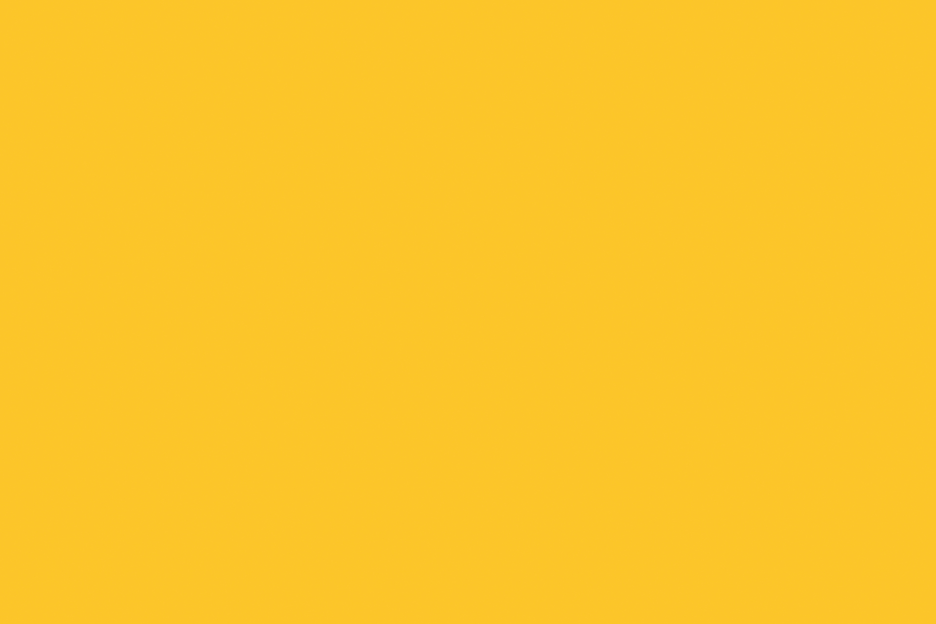 solid Sunflower_SS042
